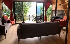 Seni Bungalow